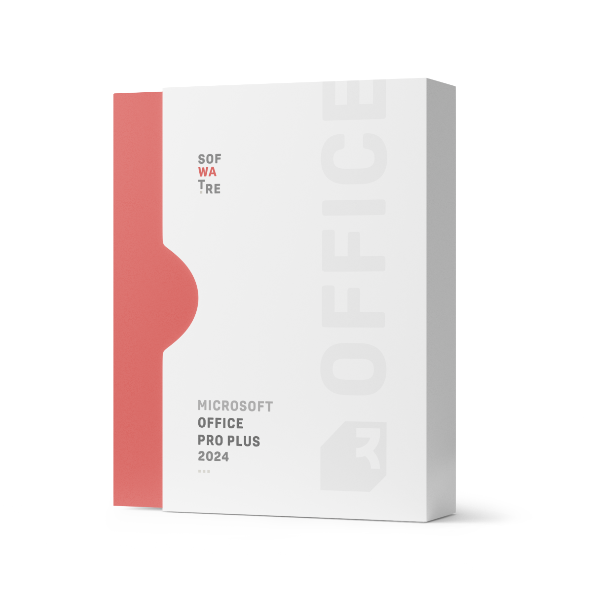 Microsoft Office 2024 Professional Plus