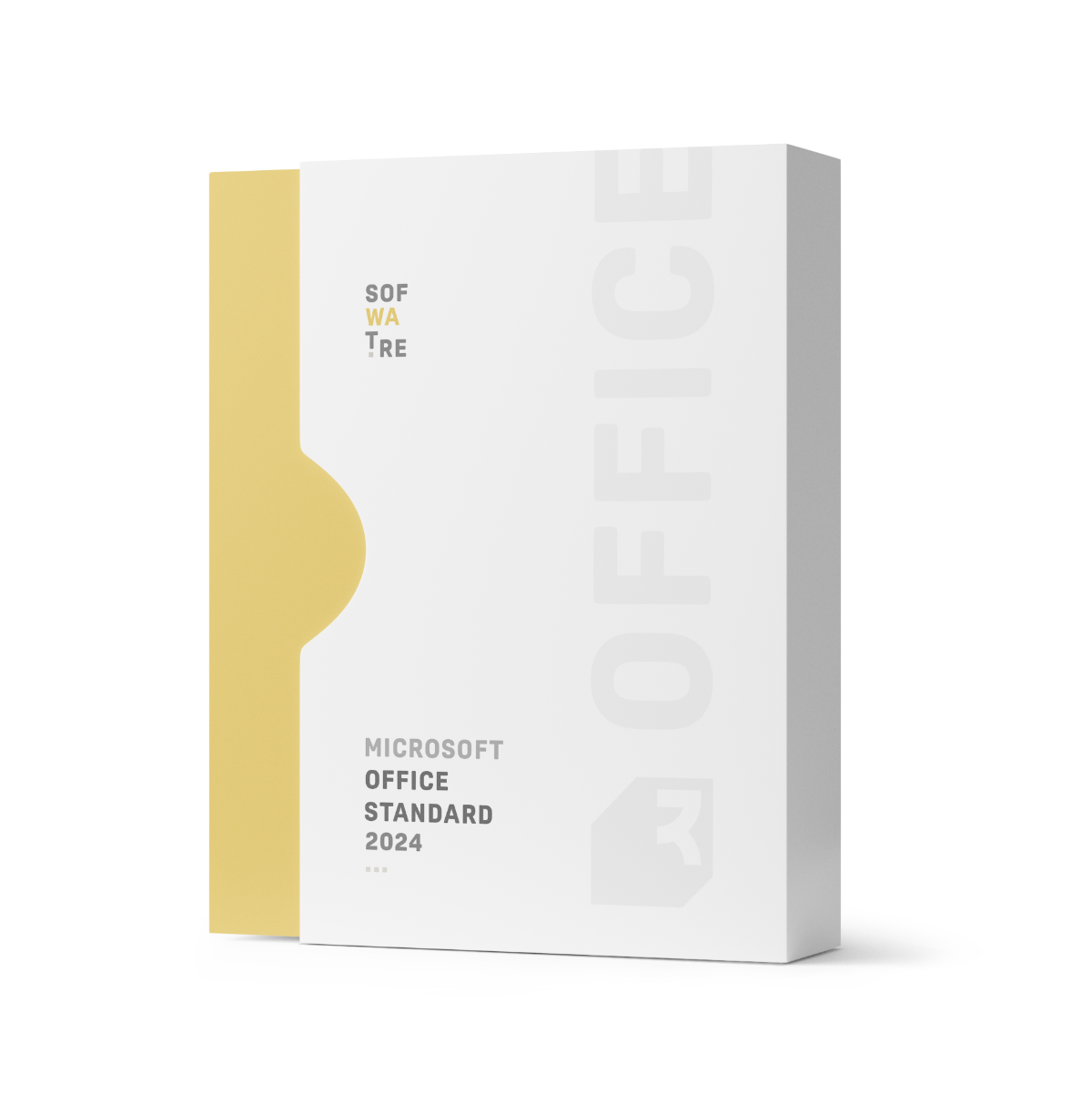 Microsoft Office 2024 Standard