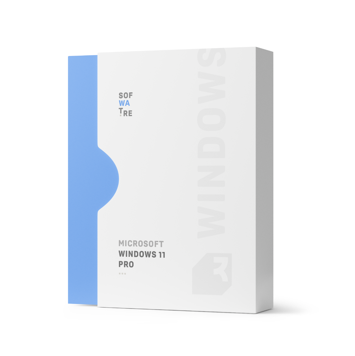 Microsoft Windows 11 Pro