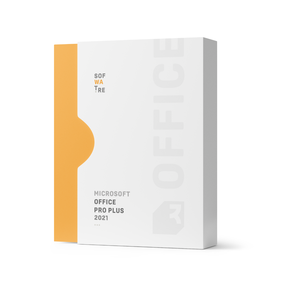 Microsoft Office 2021 Professional Plus