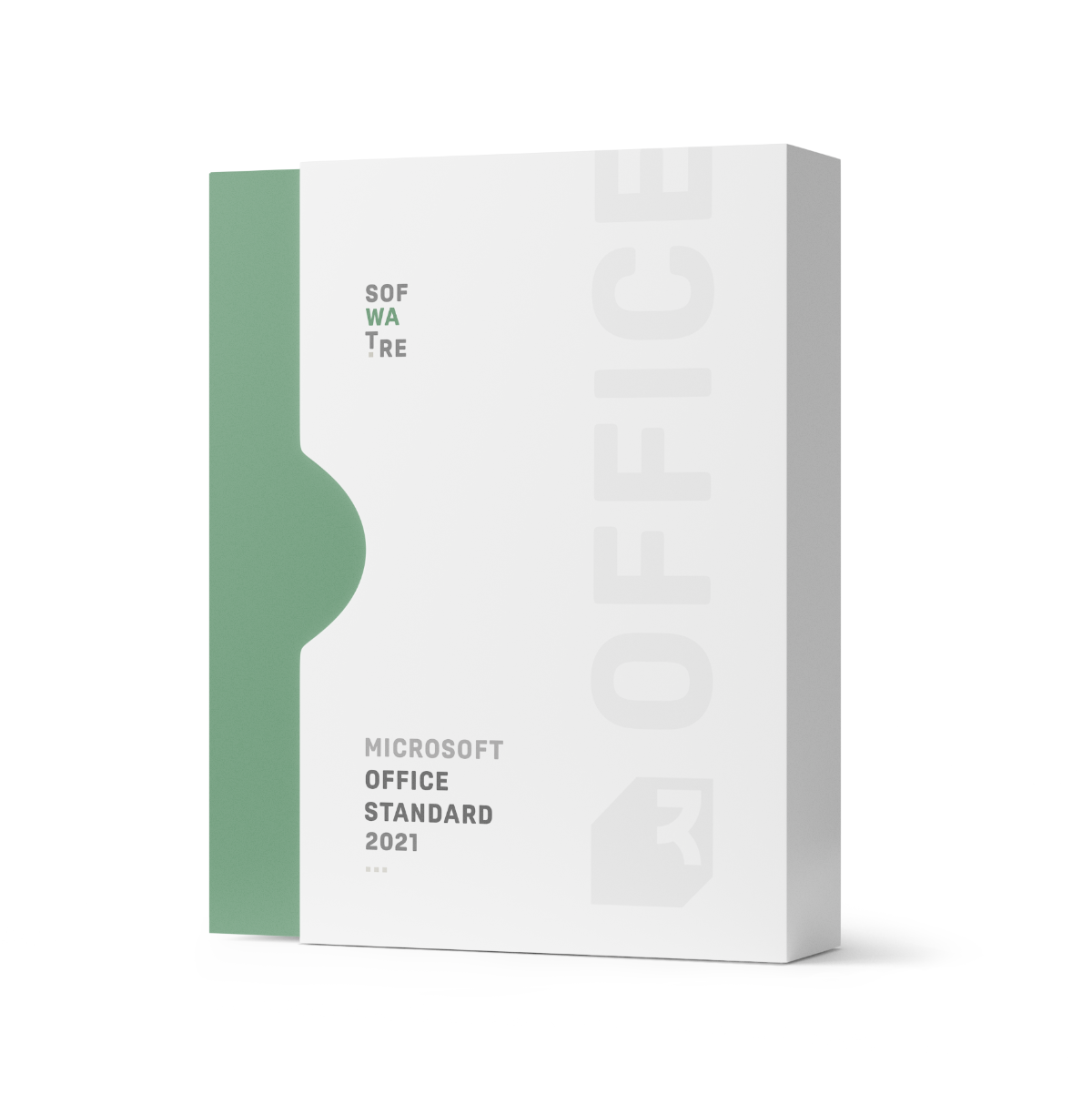 Microsoft Office 2021 Standard