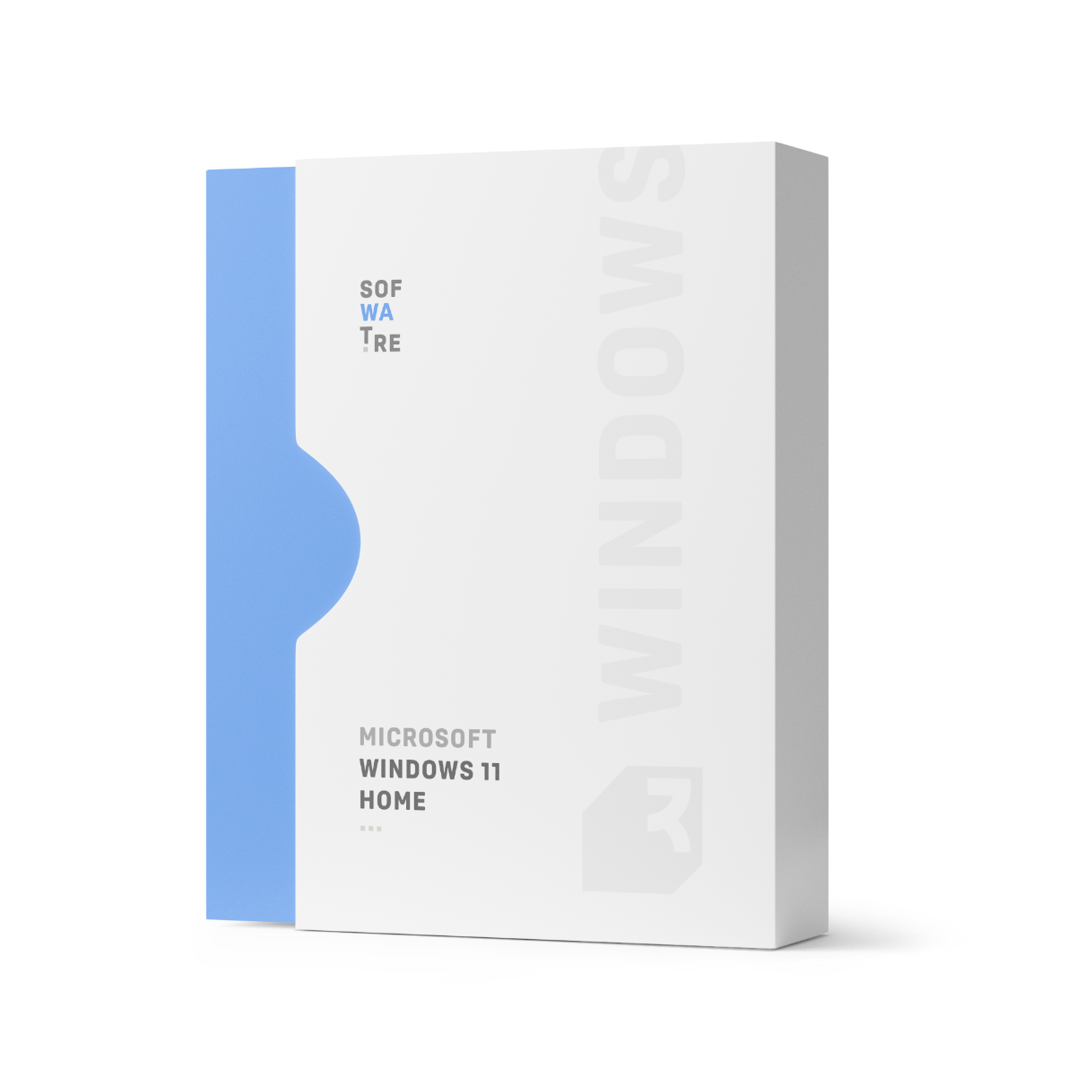 Microsoft Windows 11 Home