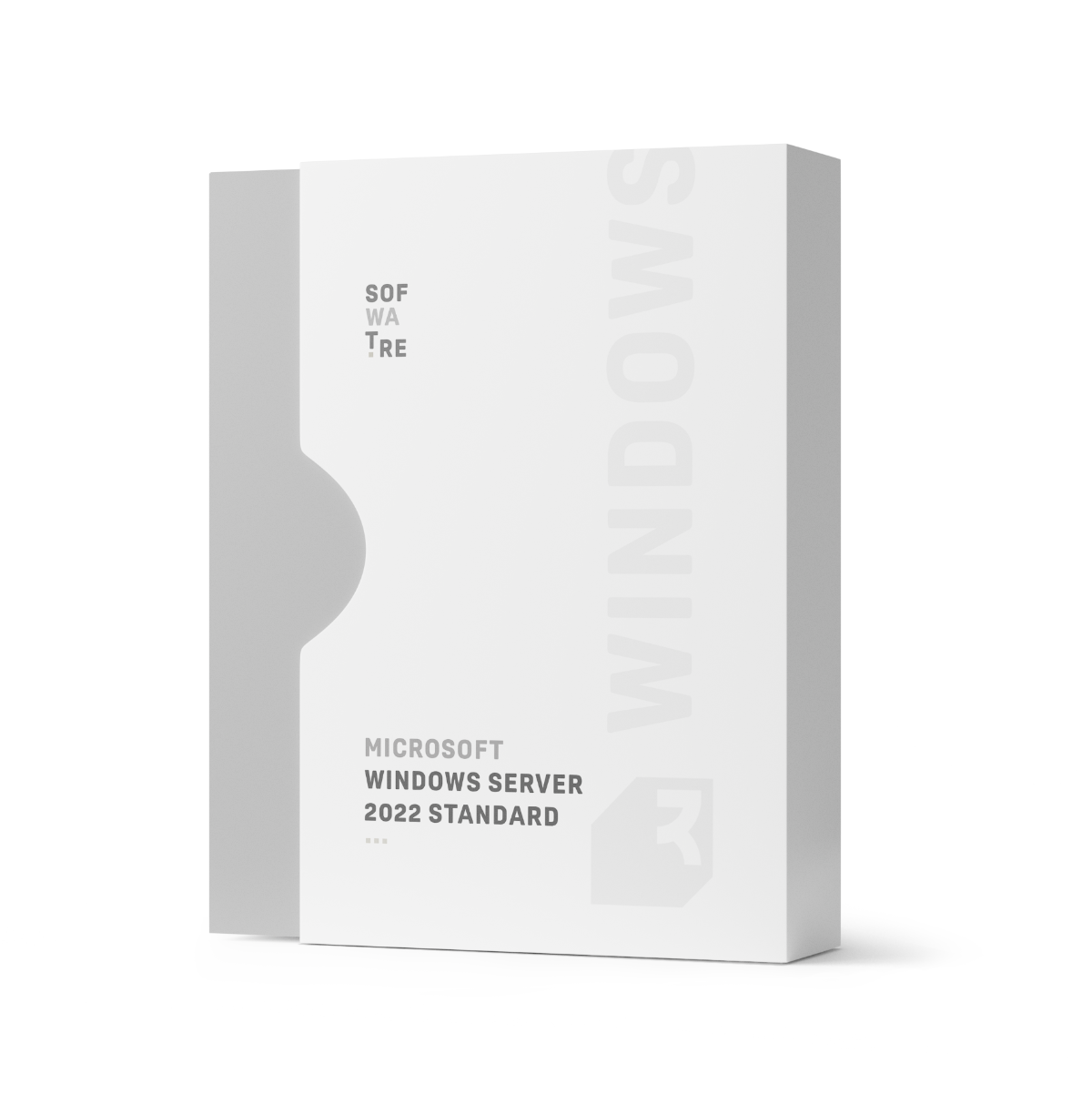 Microsoft Windows Server 2022 Standard