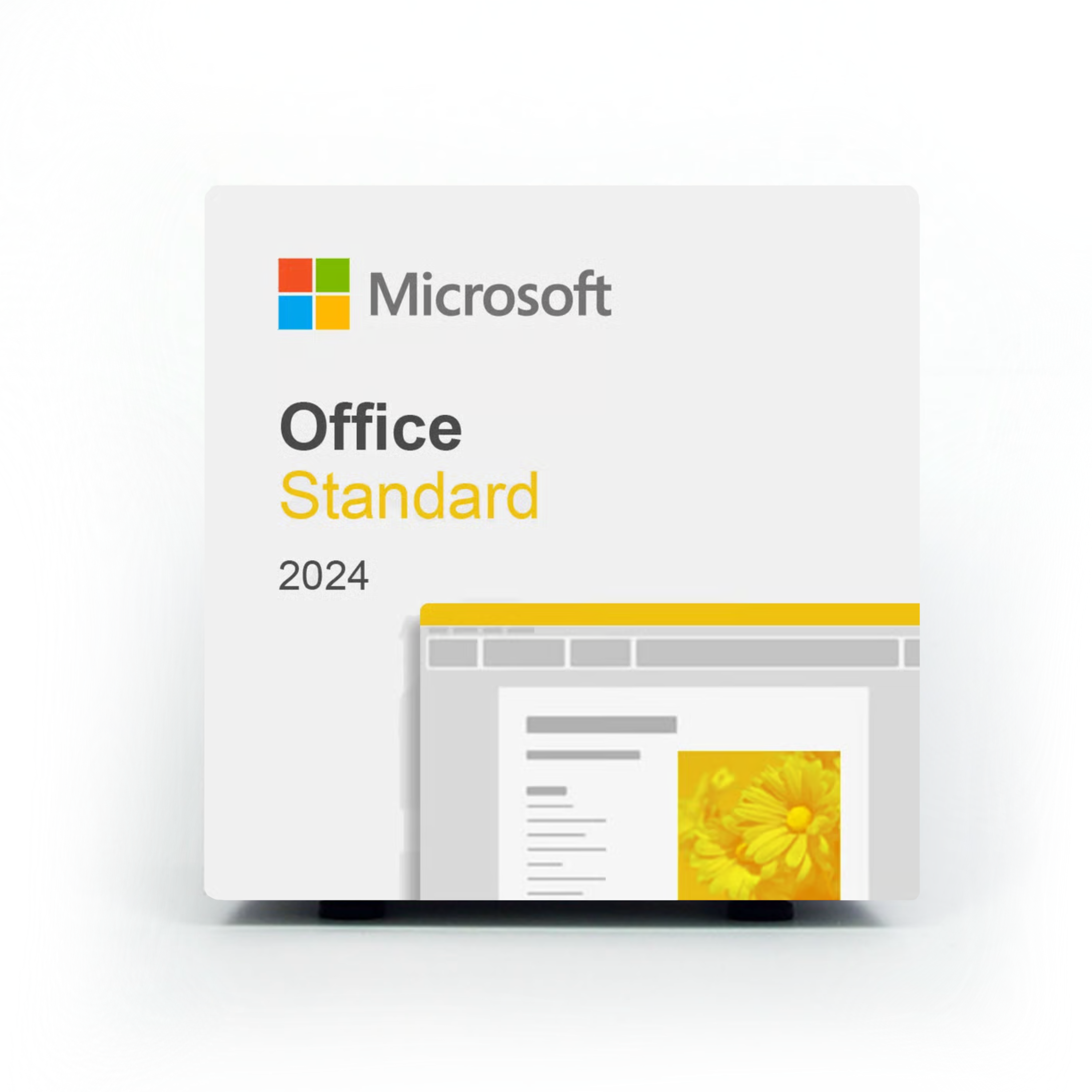 Microsoft Office 2024 Standard